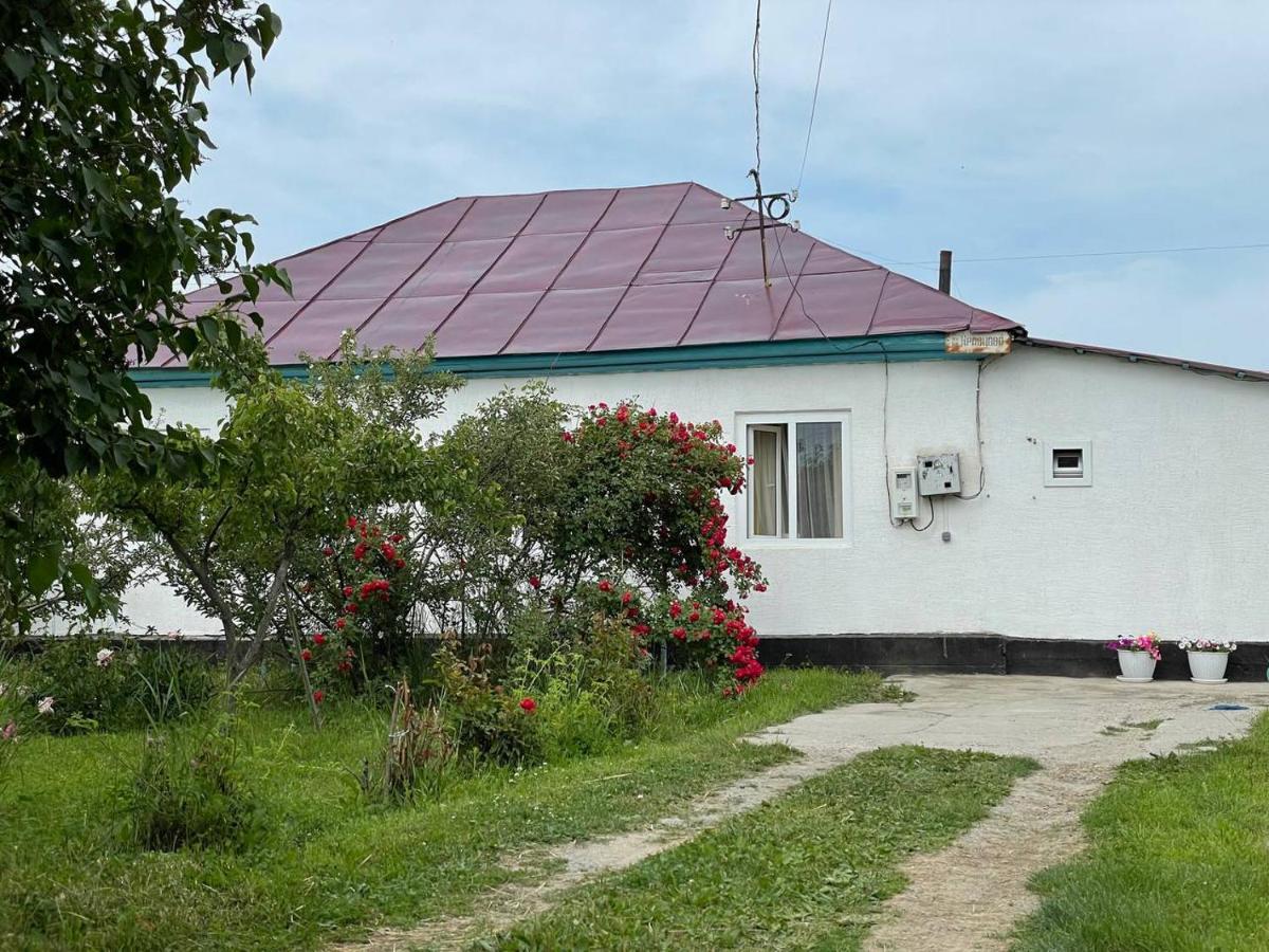 By River 246 Karakoł Zewnętrze zdjęcie